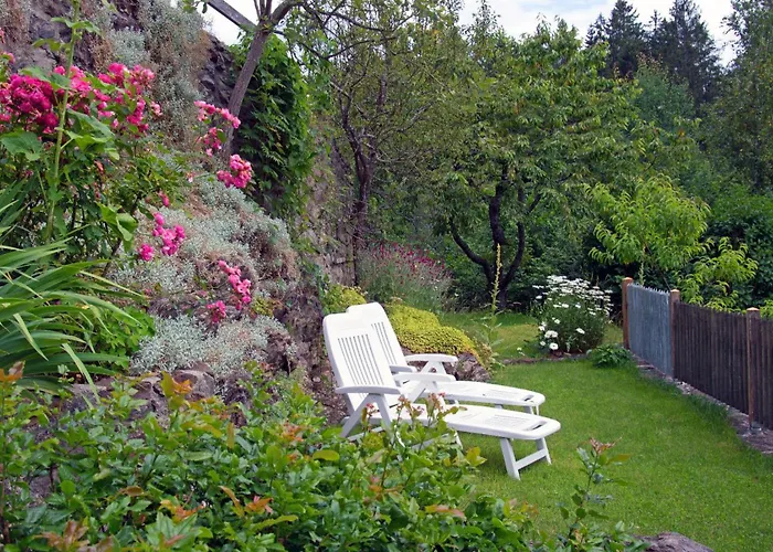 Petzold * 슈피겔라우